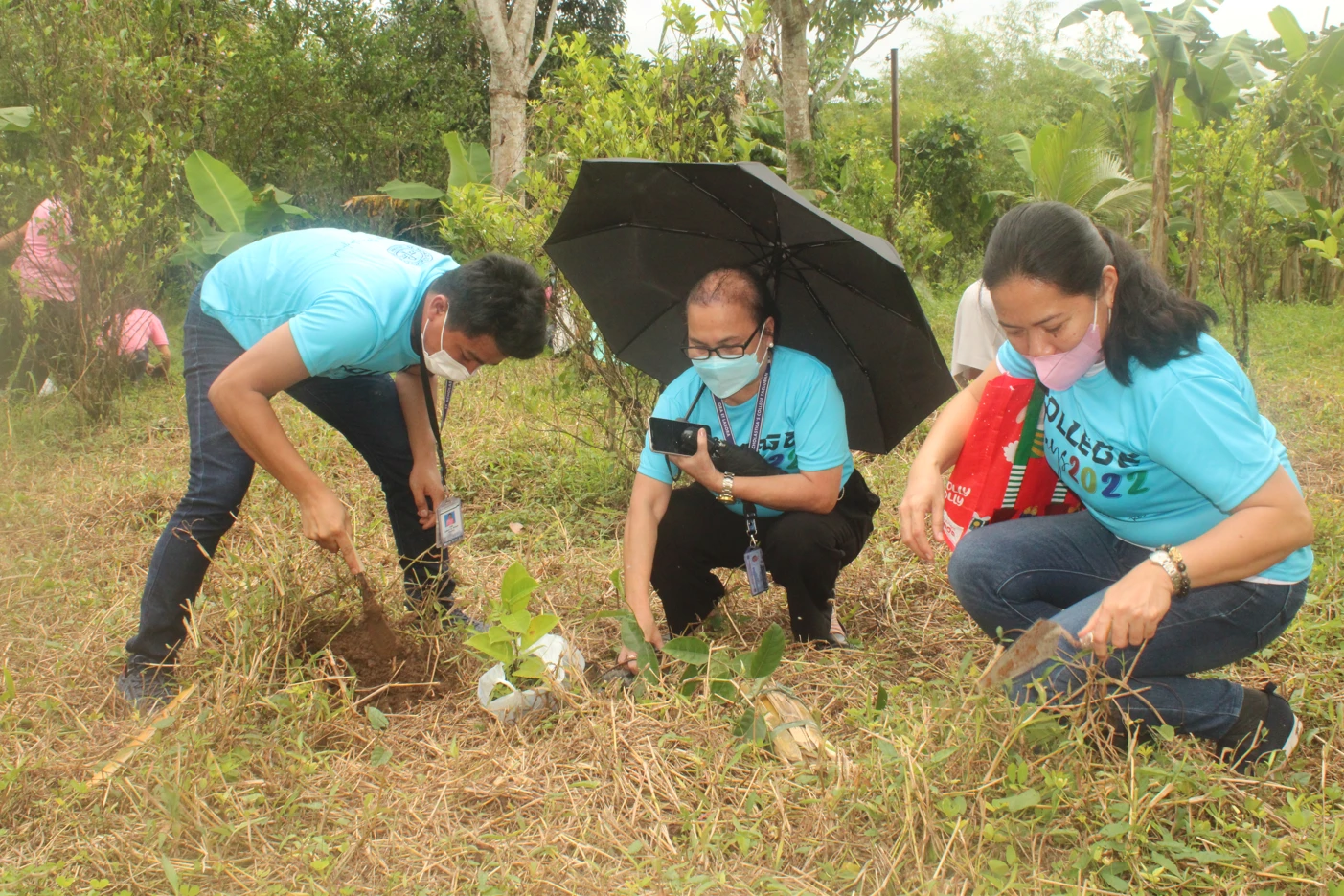 Tree Planting